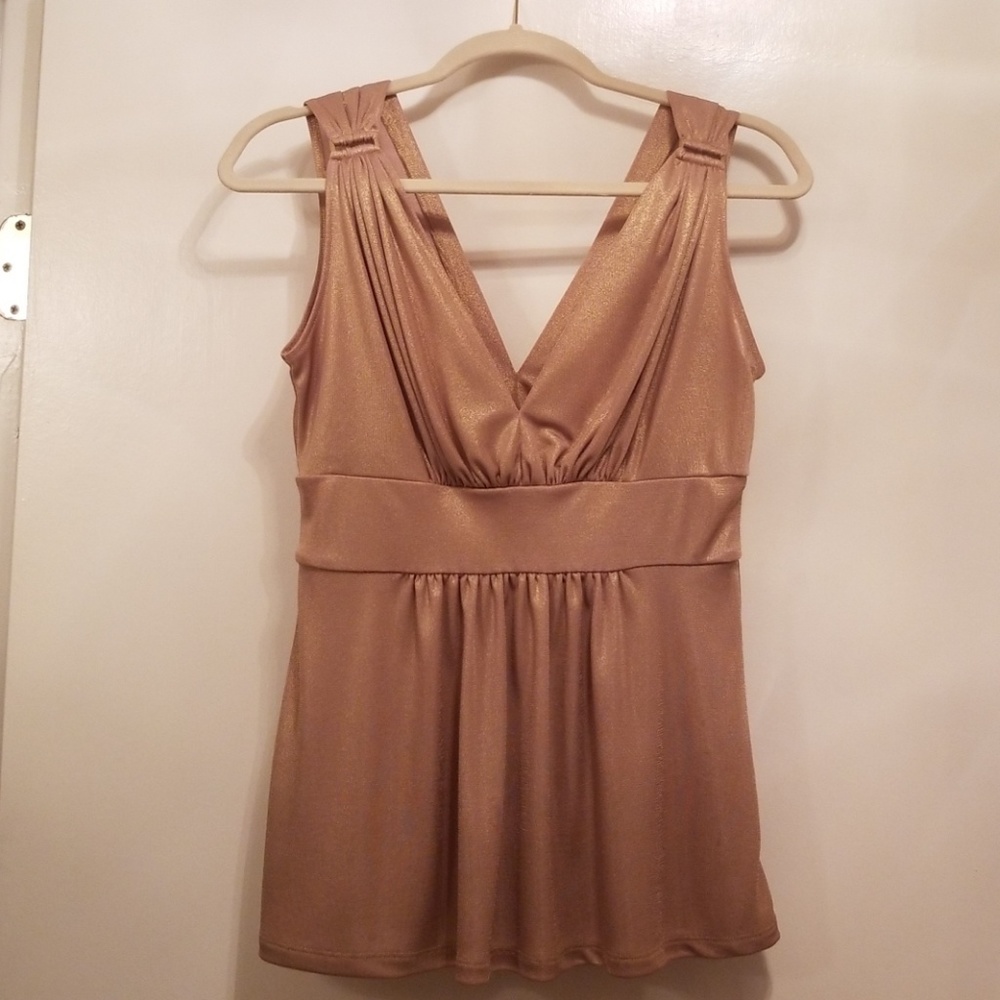 Express Shimmer Sleeveless Top